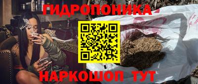 гидра Бийск