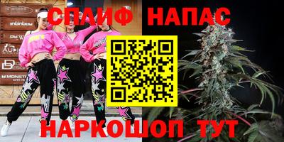 гидра Бийск