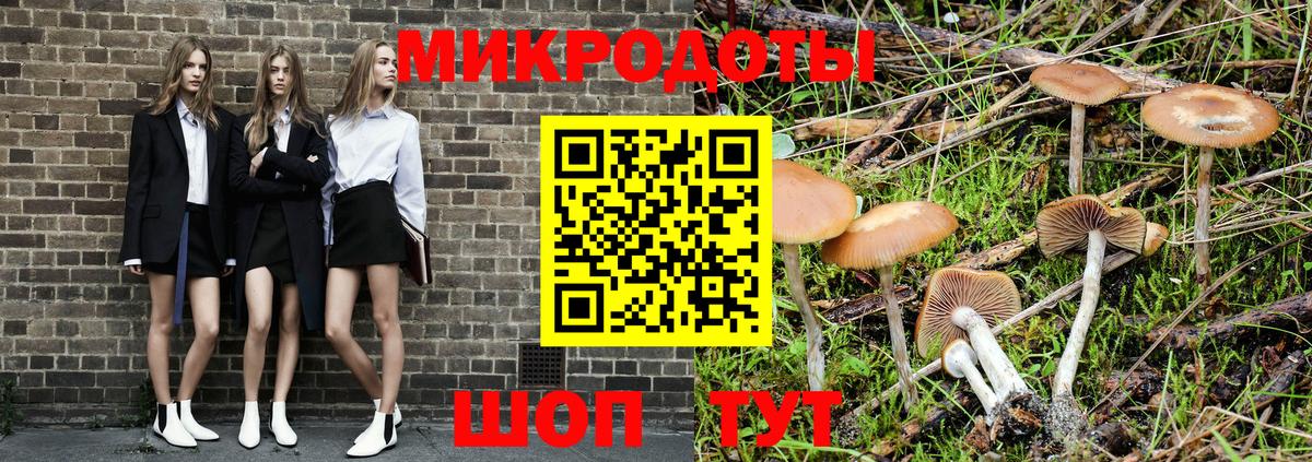 Галлюциногенные грибы Cubensis  Вход с VPN  Галлюциногенные грибы ЛСД  Гагарин 